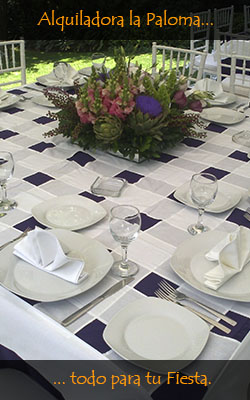 Alquiladora la Plaoma tu mejor opción